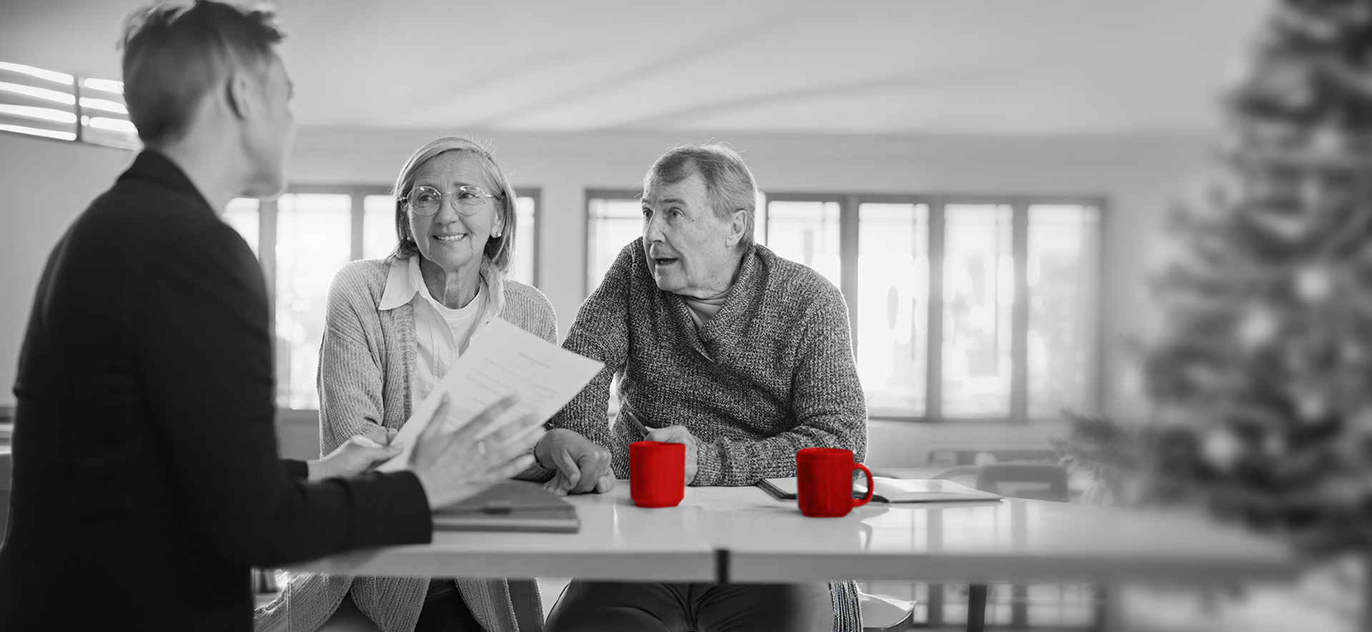 Elderly couple receiving financial advice