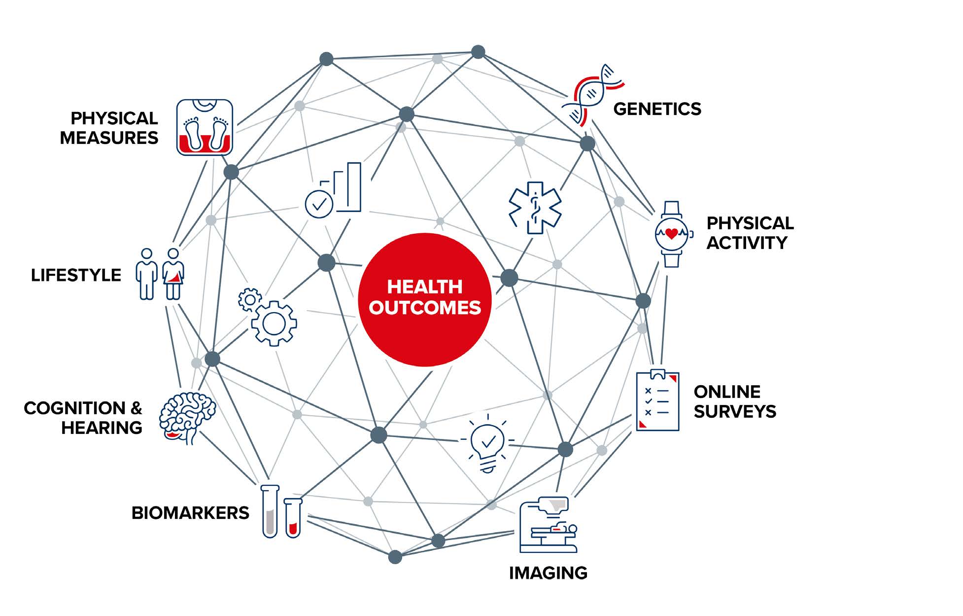 Breadth and Depth of UK Biobank