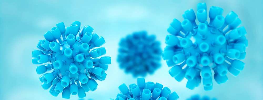 HepC 1 HepC 1