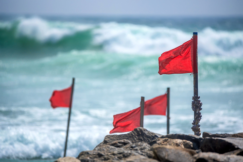 RGA Underwriting University II - Fraud Red Flags RGA Underwriting University II - Fraud Red Flags