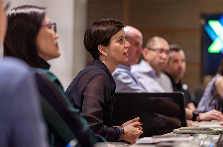 Image of meeting of RGAX experts