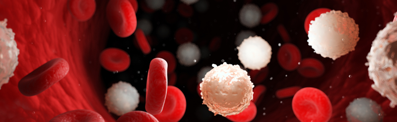 Blood cancer long Blood cancer long