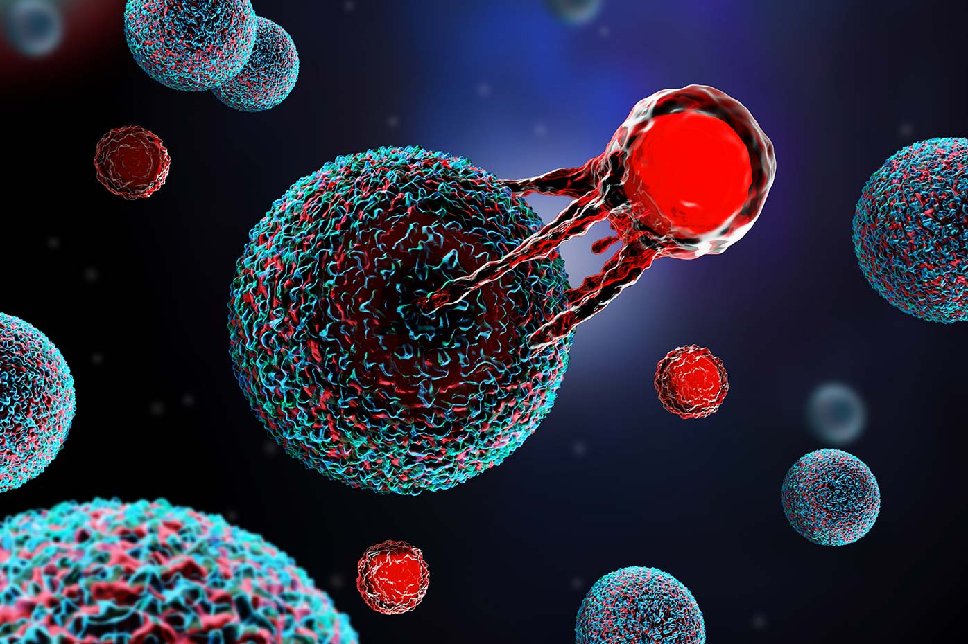 Cancer T-cells