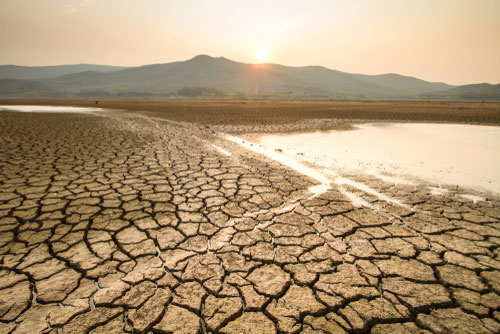 Cracked earth through drought