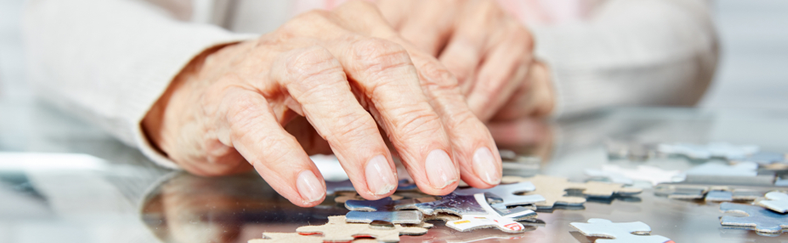 Eldercare Puzzle Long Eldercare Puzzle Long