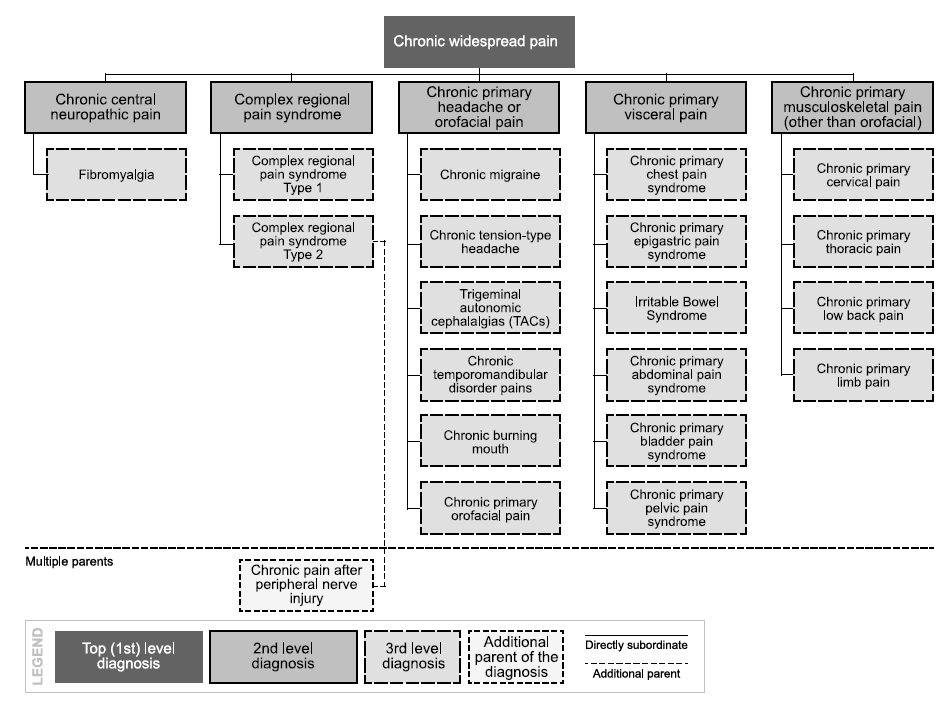 Figure 3, chronic pain