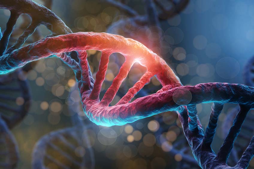 Genetic Survey  - DNA strand