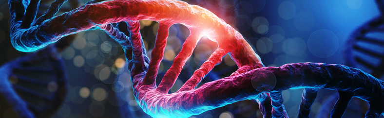 Genetics long Genetics long