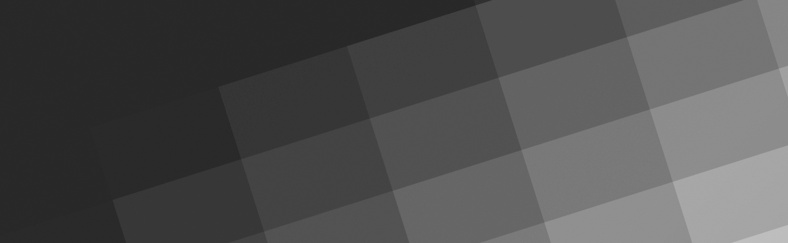 Gray long