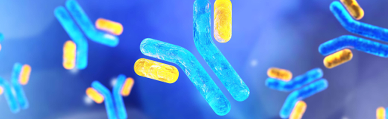 Monoclonal long Monoclonal long