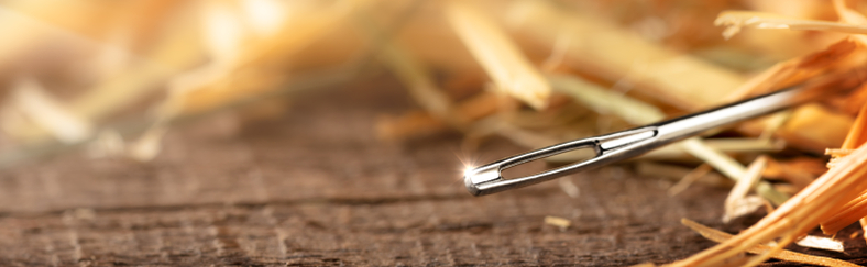 Needle Haystack long Needle Haystack long