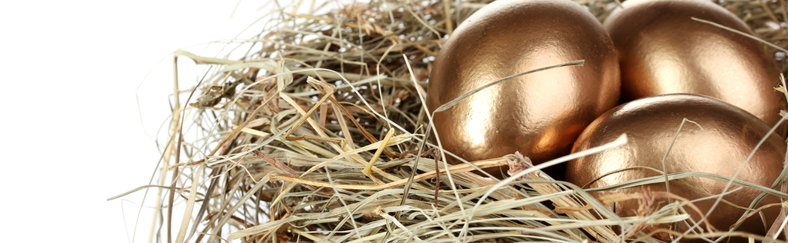 Nest Egg long Nest Egg long