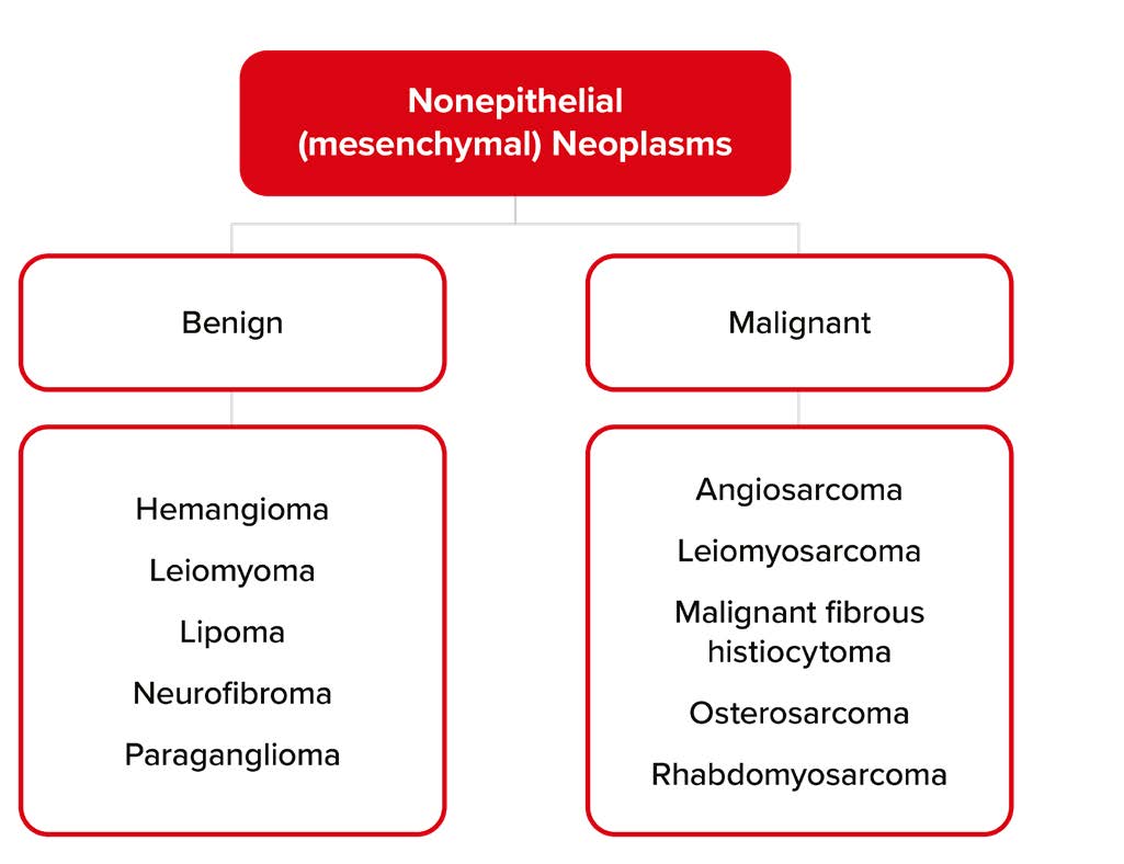 Nonepithelial Neoplasms