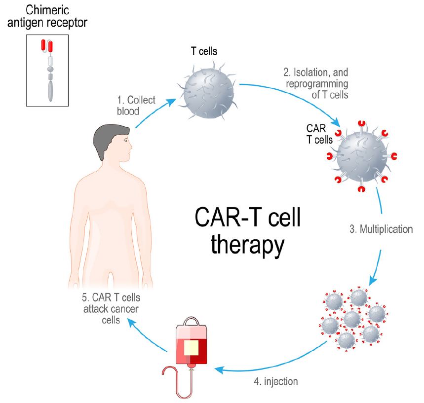 Reflections_Immunotherapy_Figure 2