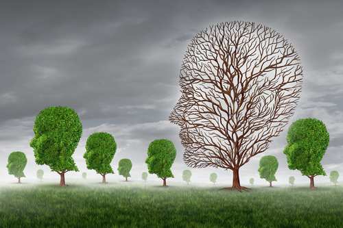 Cognitive Decline illustration of head with empty branches