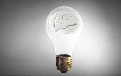 brain in a lightbulb illustration