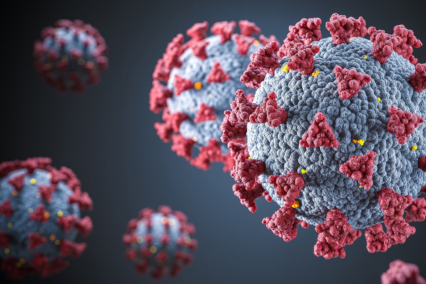 COVID-19 and coronavirus image