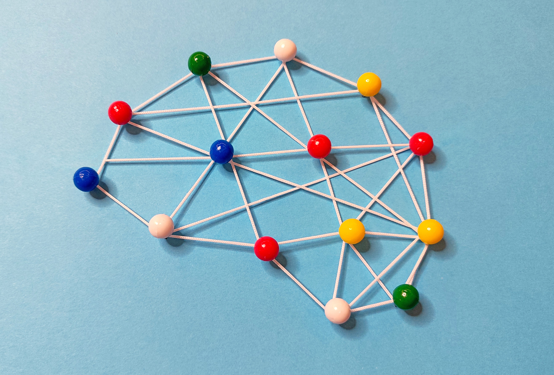 A brain network