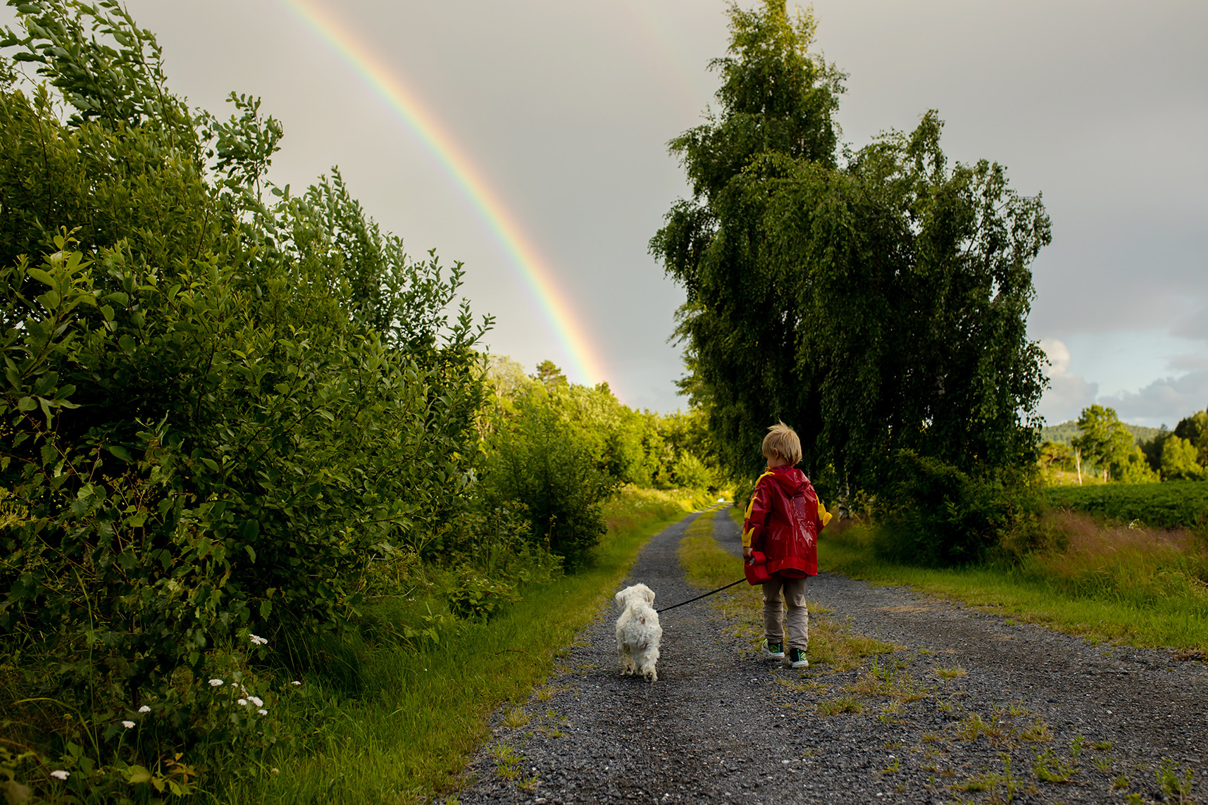 Person walking a dog down a path with a rainbow in the distance