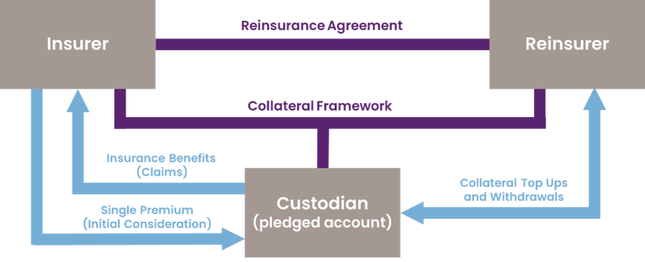 A graphic detailing how asset-intensive reinsurance deals are made