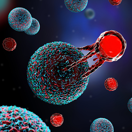 A cancer cell