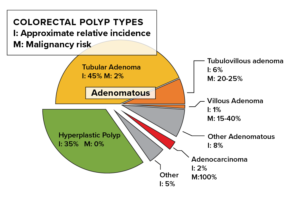 Colorectal polyp types