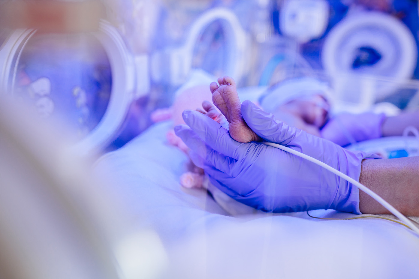 A nurse holds the tiny foot of a NICU baby in an incubator
