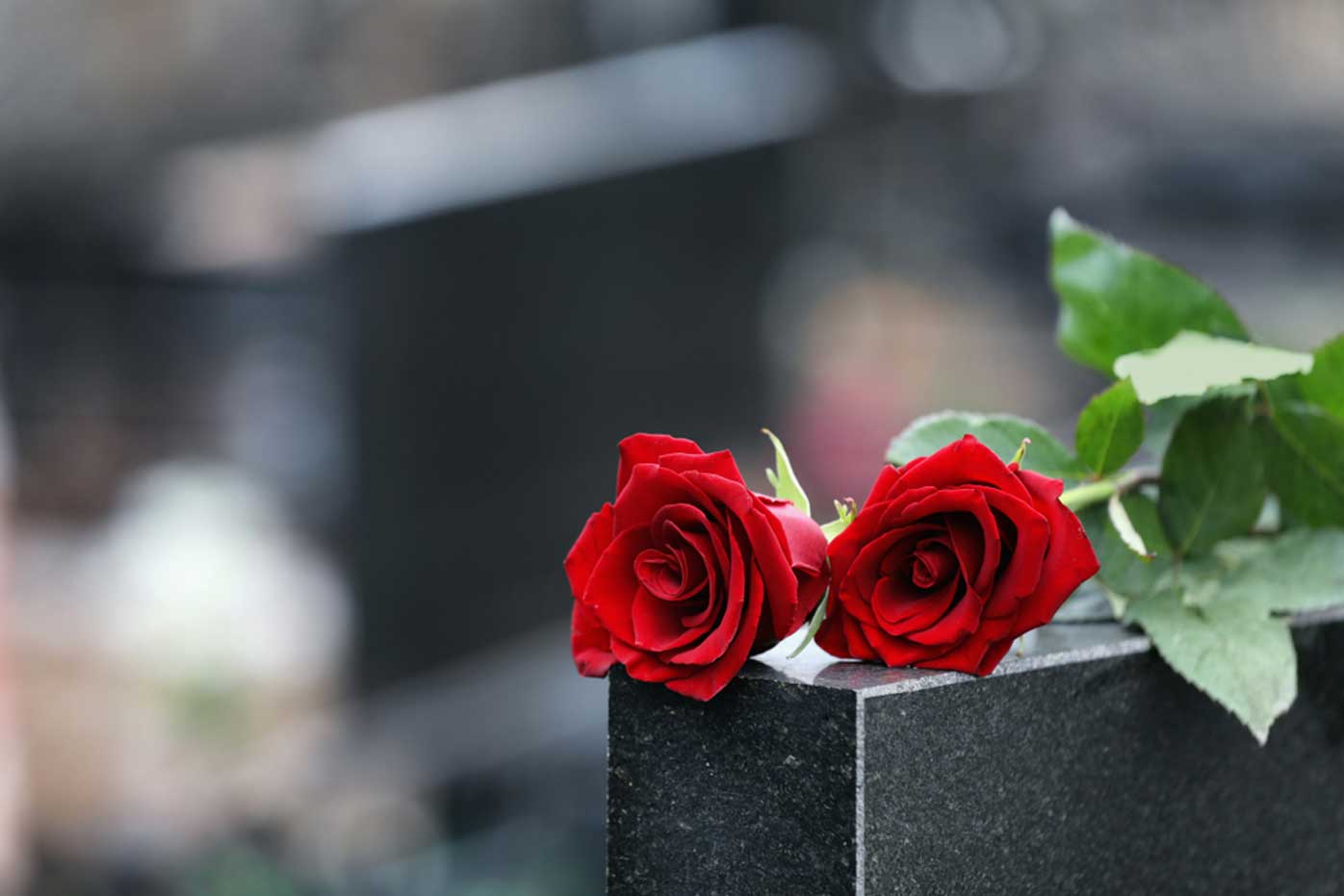 A pair of roses rest on headstones in a graveyard