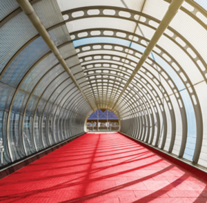 A red road winds through a light-filled tunnel