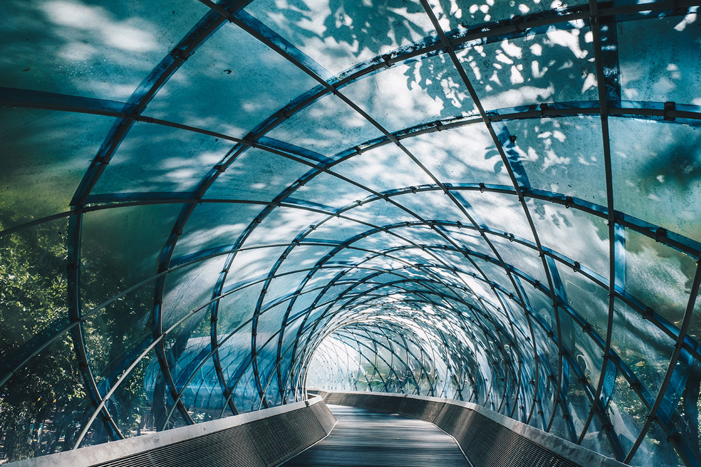 A glass-walled tunnel extends through a light-filled garden