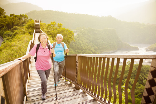 An active elderly couple transverses a bridge, hiking together