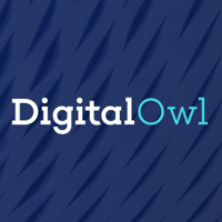 DigitalOwl logo on a patterned blue background